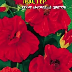 

Настурция Костёр (Плазмас), 9шт