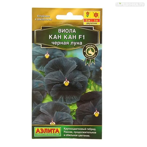 Виола Кан Кан черная луна  F1 (Аэлита), 7шт