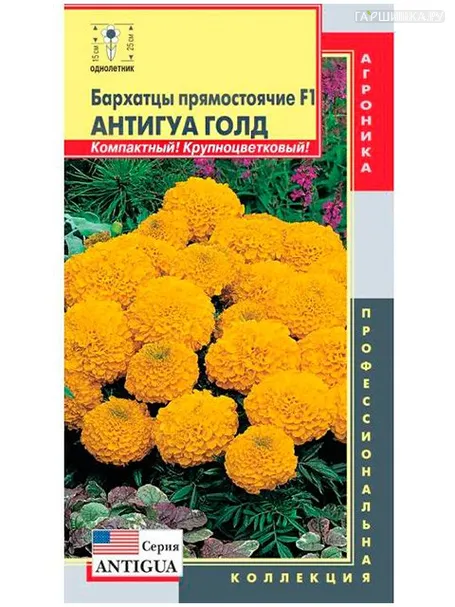 Бархатцы Антигуа Голд прямостоячие, 5шт