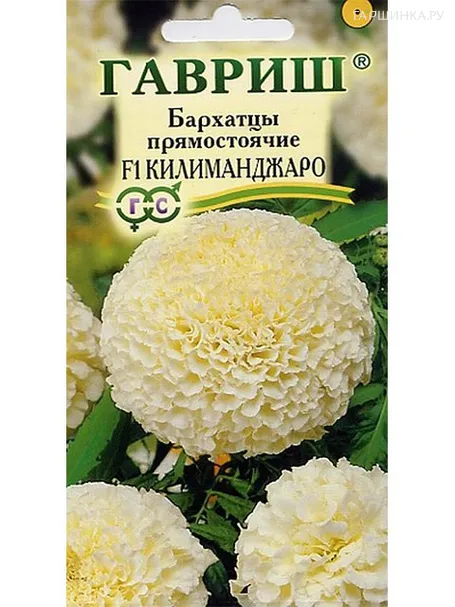 Бархатцы Килиманджаро прямостоячие (Гавриш), 0,5 г
