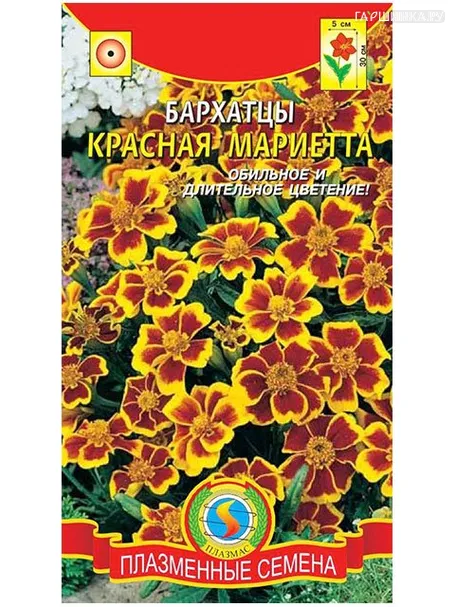 Бархатцы Красная Мариетта