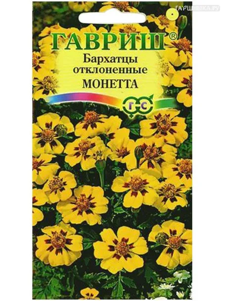 Бархатцы Монетта отклоненные (Гавриш), 0,3 г
