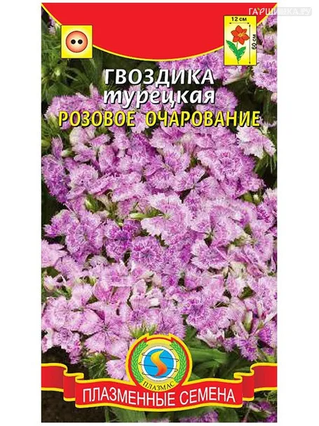 Гвоздика турецкая Розовое очарование (Плазмас)