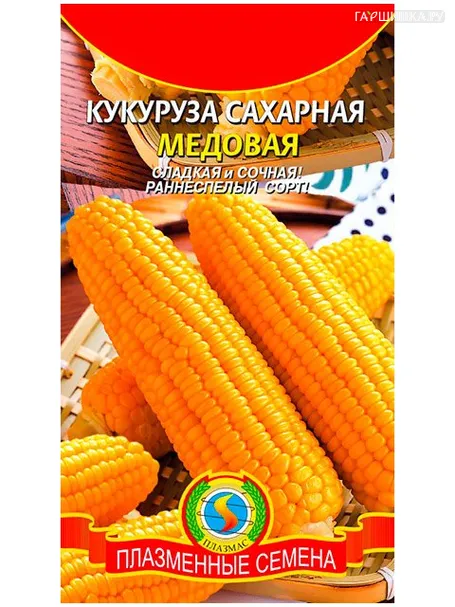 Кукуруза сахарная Медовая (Плазмас), 5гр