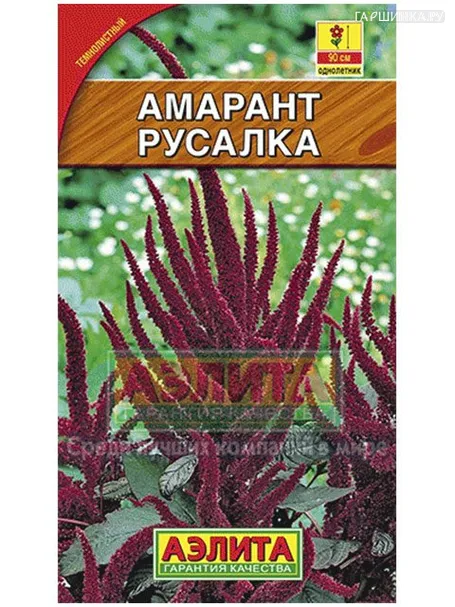 Амарант Русалка темнолистный (Аэлита)