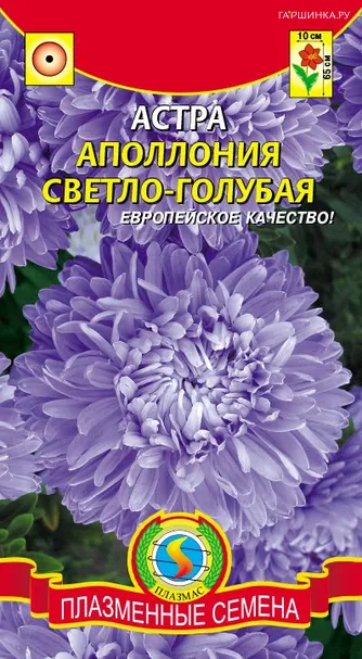 Астра Аполлония светло-голубая, 0,2г