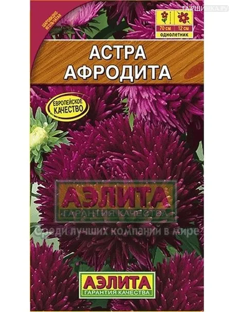 Астра Афродита (Аэлита)