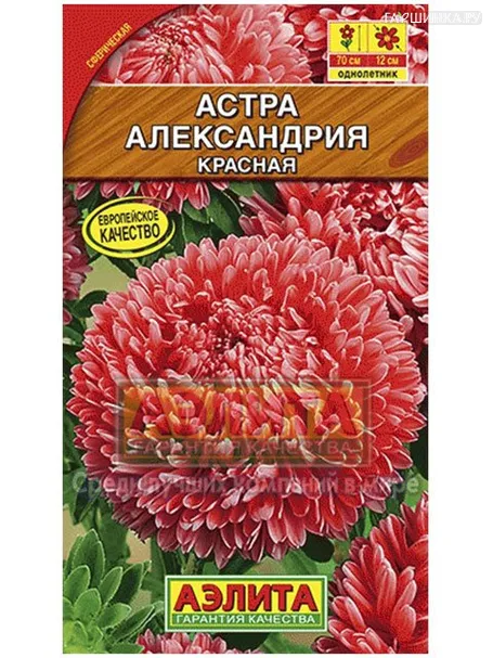 Астра Александрия красная (Аэлита), 0,1г