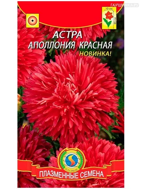 Астра Аполлония красная  0,2г