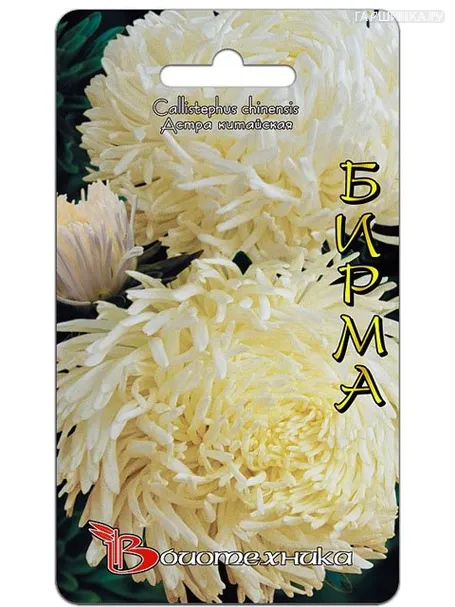Астра Бирма (Биотехника)