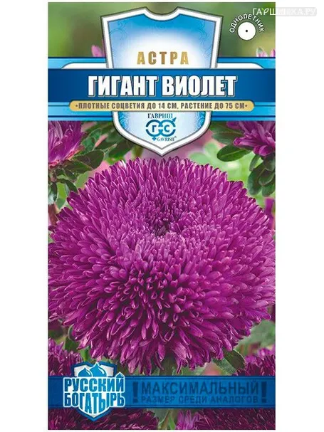 Астра Гигант виолет (Гавриш), 0,3 г