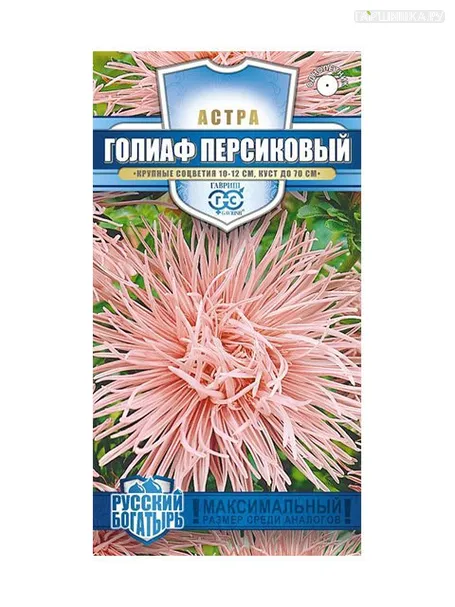 Астра Голиаф персиковый (Гавриш), 0,3 г