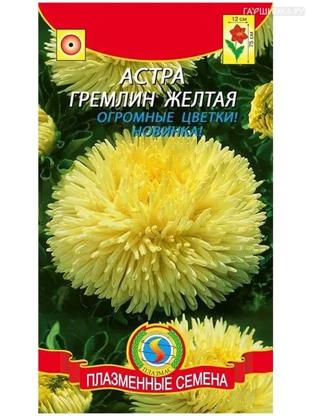 Астра Гремлин желтая (Плазмас)