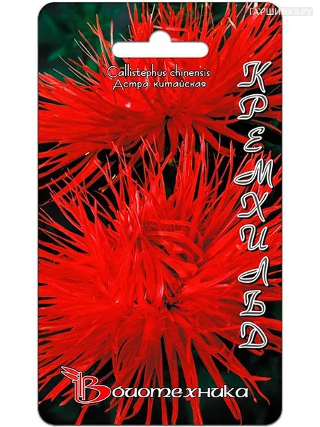 Астра китайская Кремхильд (Биотехника)