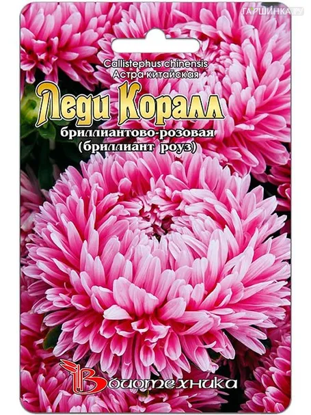 Астра китайская Леди Коралл бриллиантово-розовая (Биотехника)