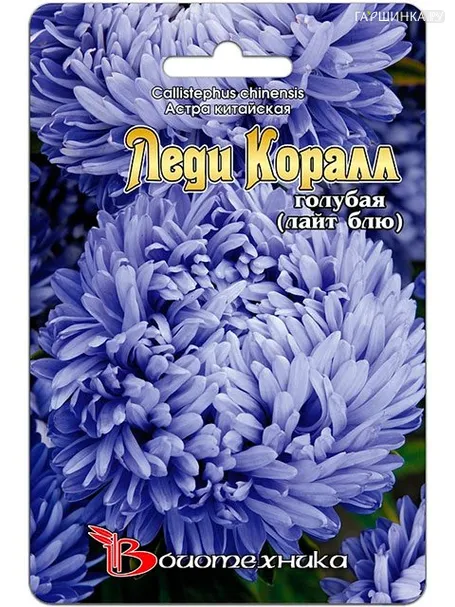 Астра китайская Леди Коралл голубая (Биотехника)