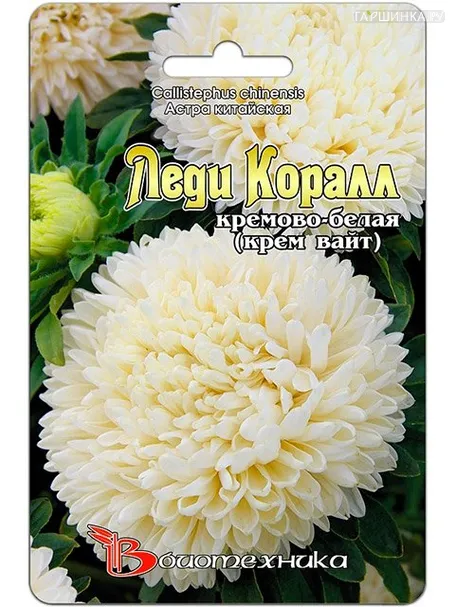 Астра китайская Леди Коралл кремово-белая (Биотехника)