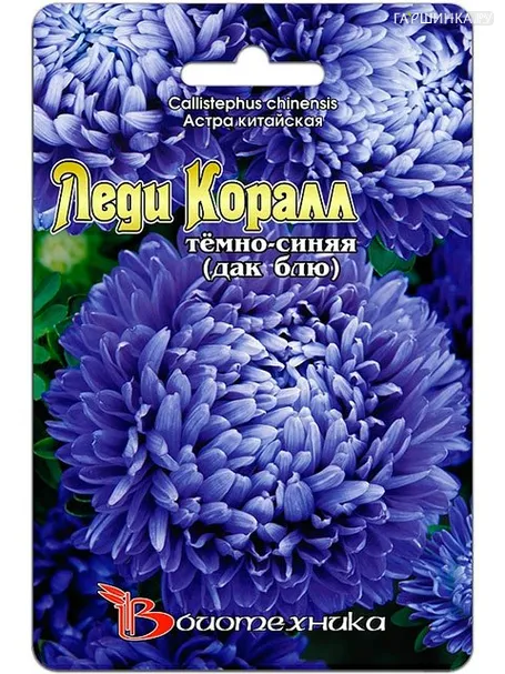 Астра китайская Леди Коралл темно-синяя (Биотехника)