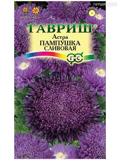 Астра Пампушка сливовая (Гавриш), 0,3 г