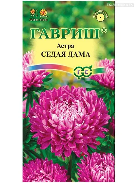 Астра Седая дама (Гавриш), 0,3 г