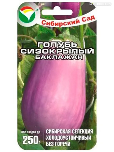 Баклажан Голубь сизокрылый (Семко) 20шт