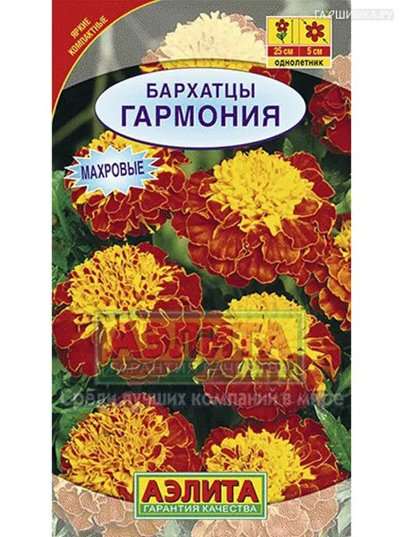Бархатцы Гармония отклоненные (Аэлита)