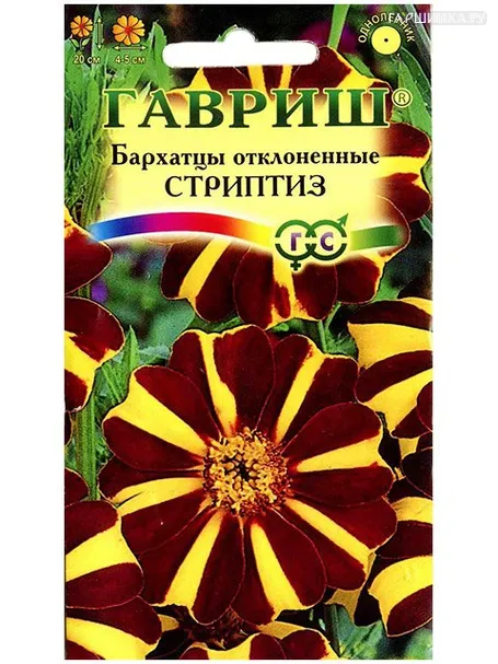 Бархатцы Стриптиз отклоненные (Гавриш), 0,3 г