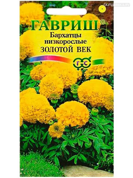 Бархатцы Золотой век (Гавриш), 0,3 г