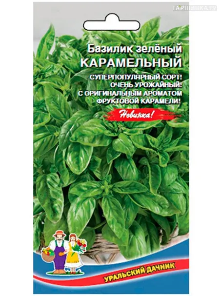 Базилик Карамельный зеленый (Марс)
