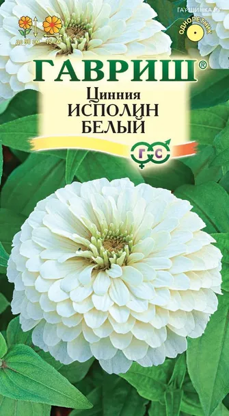 Цинния Исполин белый 0,3 г