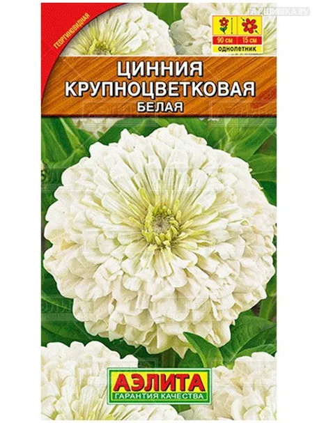 Цинния Крупноцветковая белая, 0,3гр