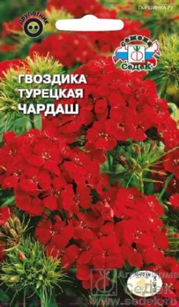 Гвоздика турецкая Чардаш (Седек)