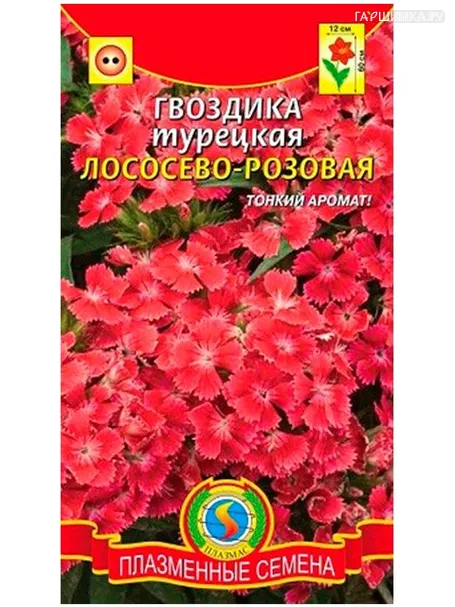Гвоздика Лососево-розовая