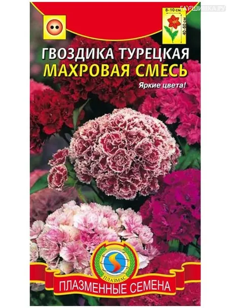 Гвоздика турецкая махровая смесь (Плазмас)