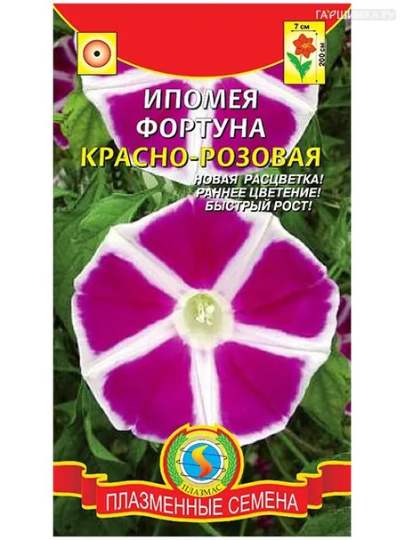 Ипомея Фортуна кроваво-красная (Плазмас)