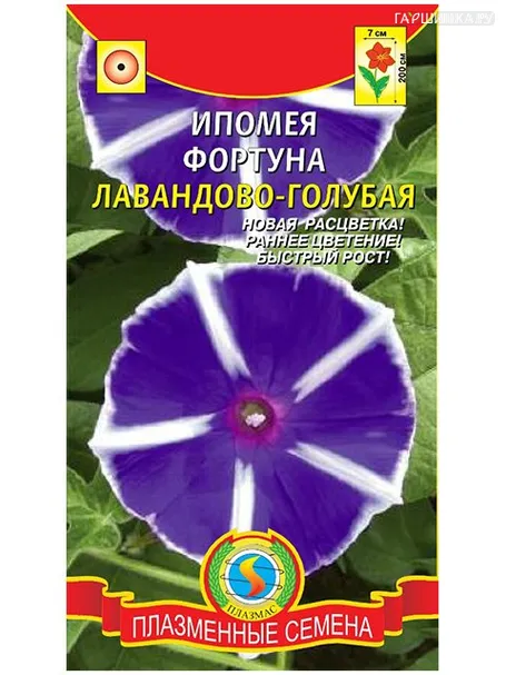 Ипомея Фортуна лавандово-голубая