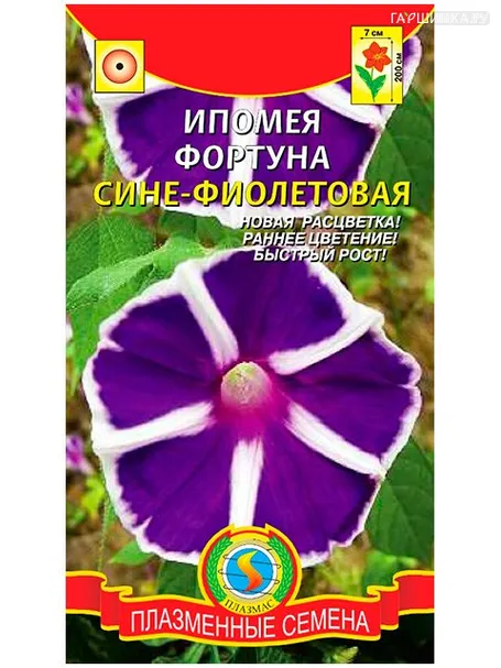 Ипомея Фортуна сине-фиолетовая (Плазмас)