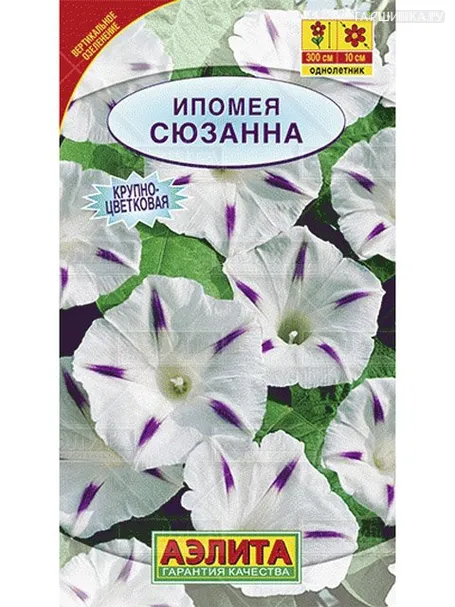 Ипомея Сюзанна (Аэлита)