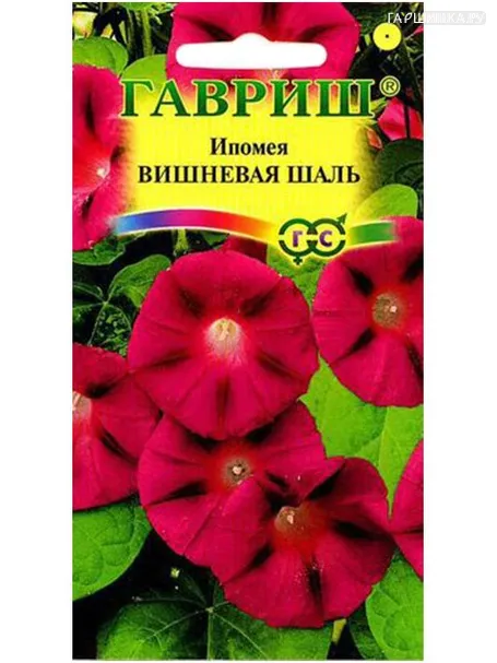 Ипомея Вишневая шаль (Гавриш), 0,5 г