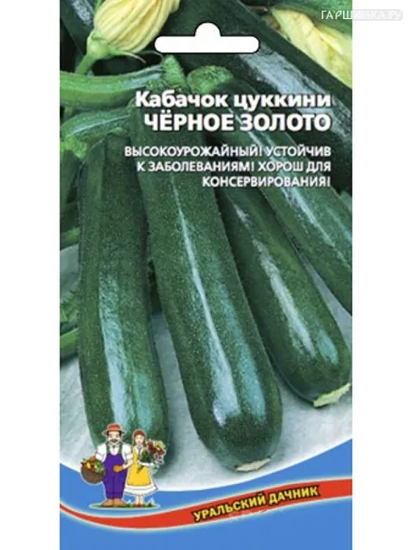 Кабачок цуккини Черное золото