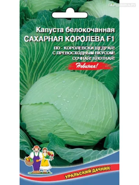 Капуста Сахарная королева белокочанная