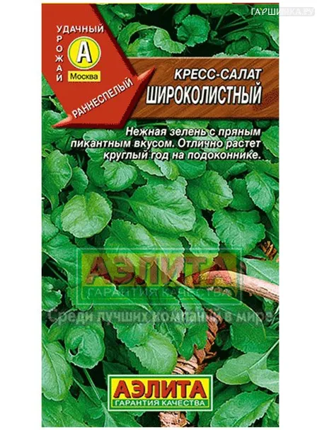 Кресс-салат Широколистный (Аэлита)