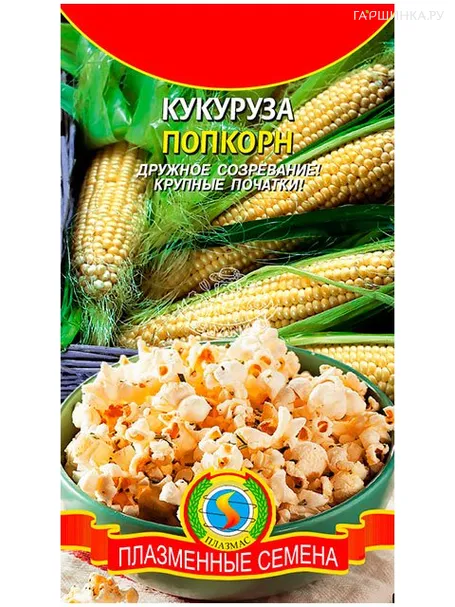 Кукуруза Попкорн (Плазмас), 5гр