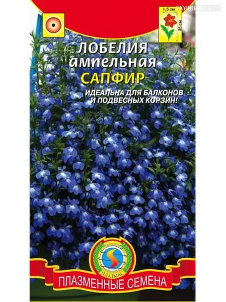 Лобелия Сапфир ампельная (Плазмас), 0,03г
