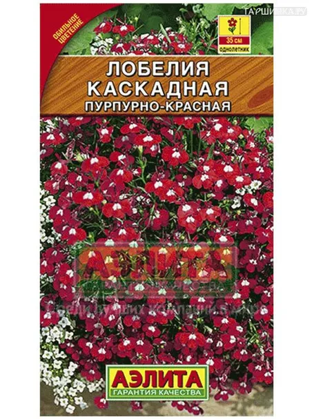 Лобелия Пурпурно-красная каскадная (Аэлита)