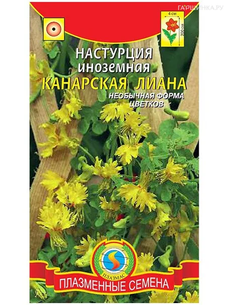Настурция Канарская лиана иноземная (Плазмас)