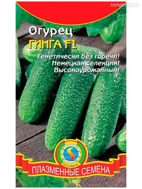 Огурец Гинга F1 (Плазмас)