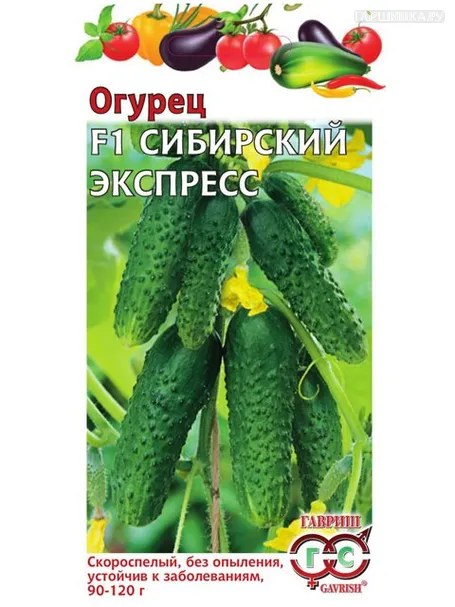 Огурец Сибирский экспресс F1 (Марс), 10 шт.