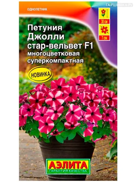 Петуния Джоли стар вельвет  F1 многоцветковая (Аэлита), 7шт