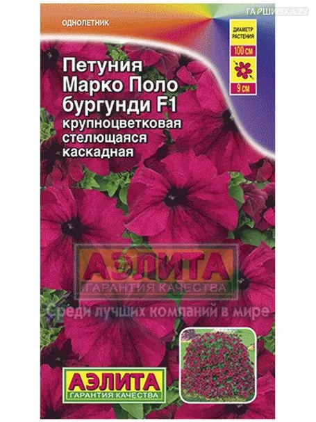Петуния Марко Поло бургунди F1 10 шт